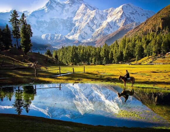 5 Days Fairy Meadows and Beyal Camp Tour