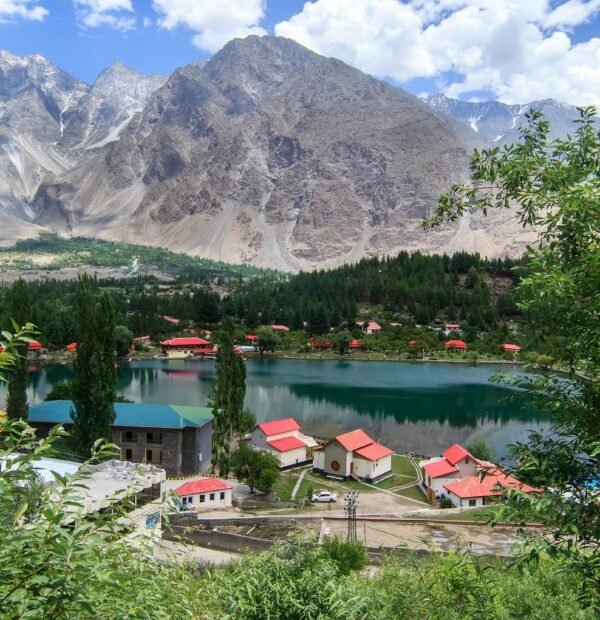 Group Tours
