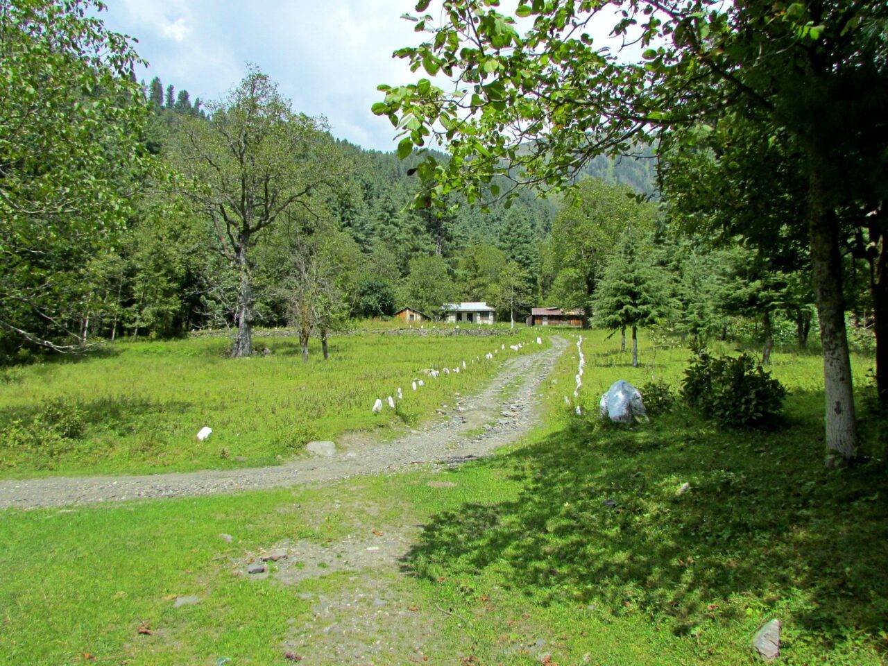 Mehran Forest 2 Days Sharan Forest And Manshi Top Tour