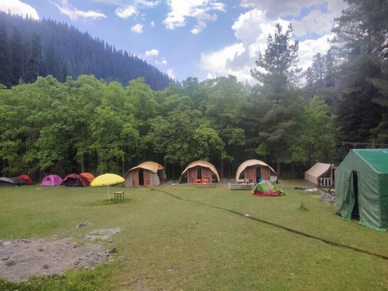 Mehran Forest Sharan Forest: A Complete Travel Guide