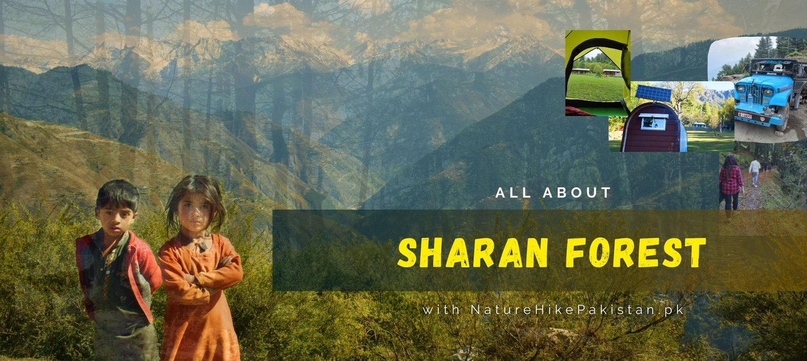 Sharan Forest