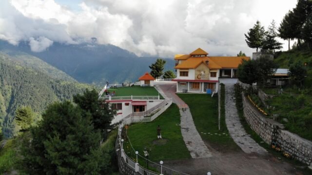 Mehran Forest Sharan Forest: A Complete Travel Guide