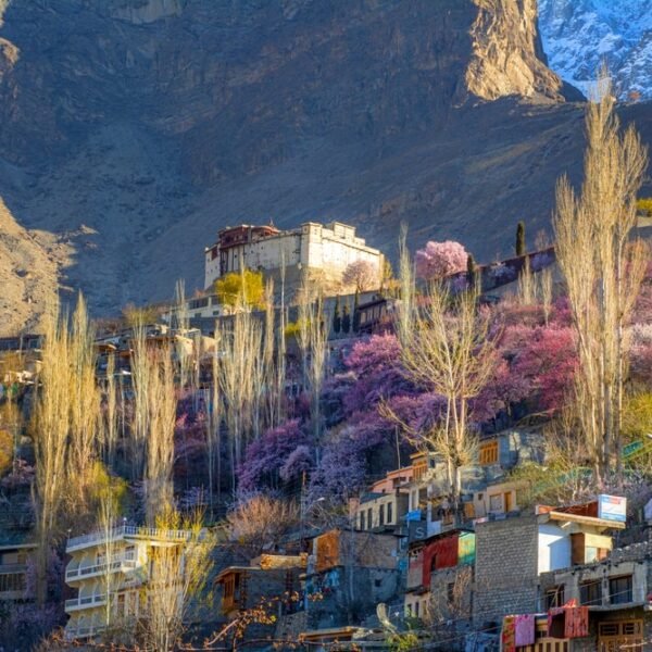 Fairy Meadows