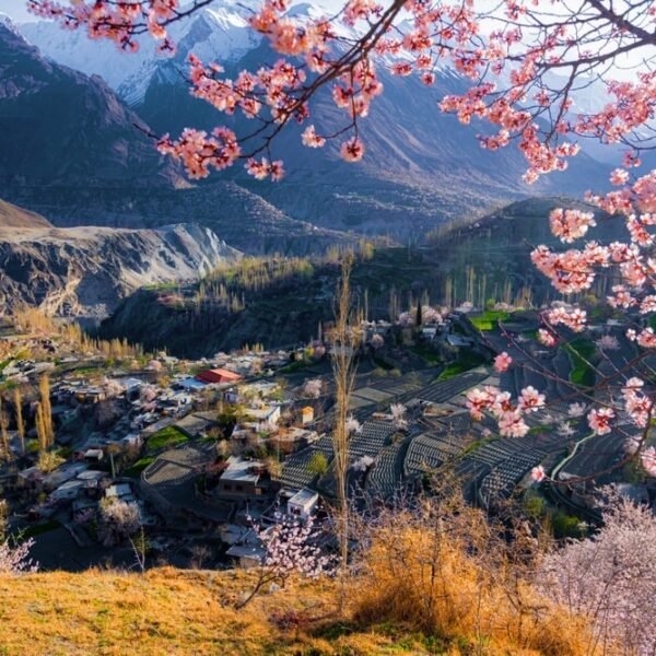 Fairy Meadows