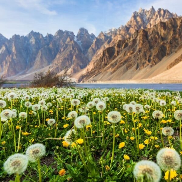 Hunza and Skardu Tour