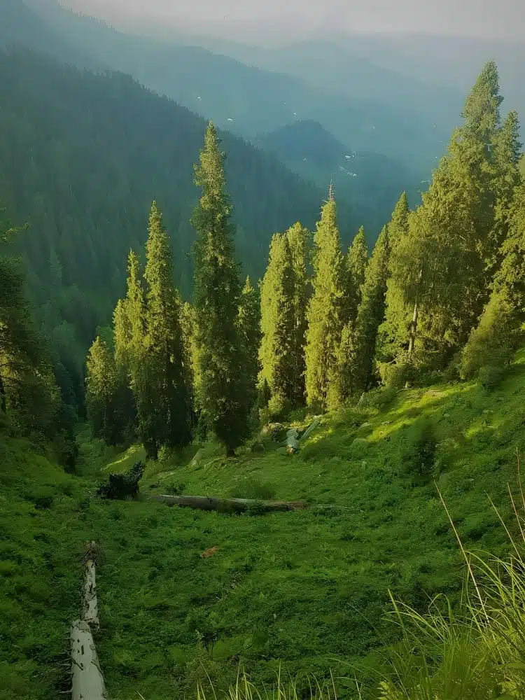 Murree Tour Packages Murree Tour Packages
