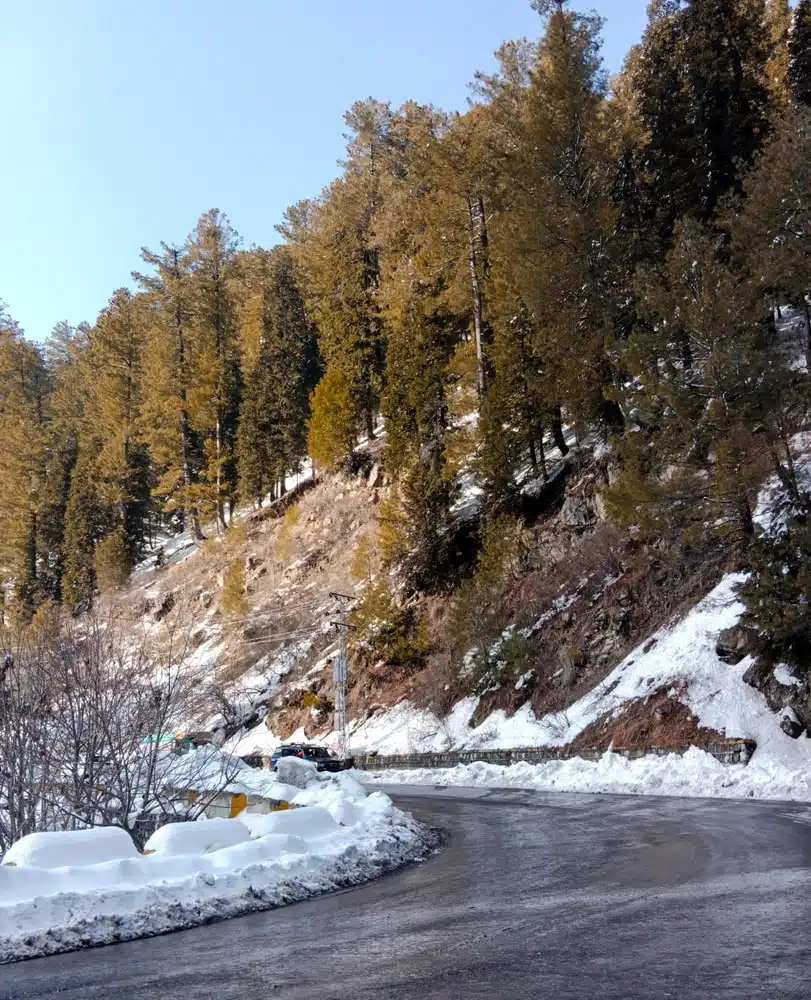 Murree Tour Packages Murree Tour Packages