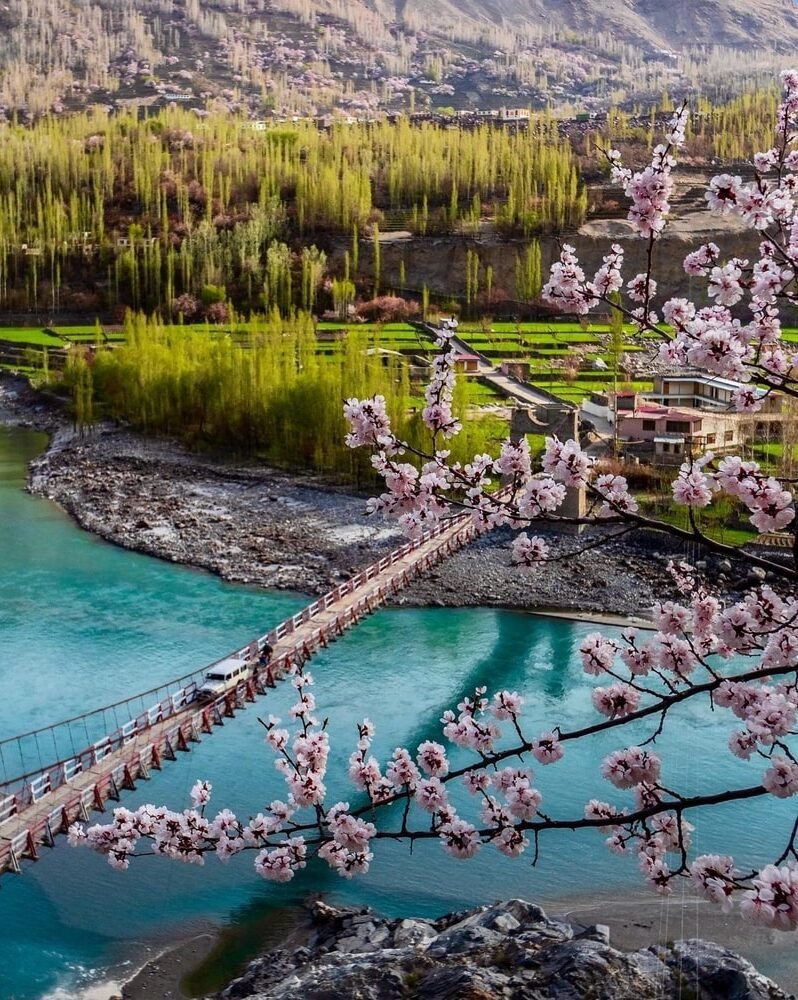 Skardu Cherry Blossom Tour