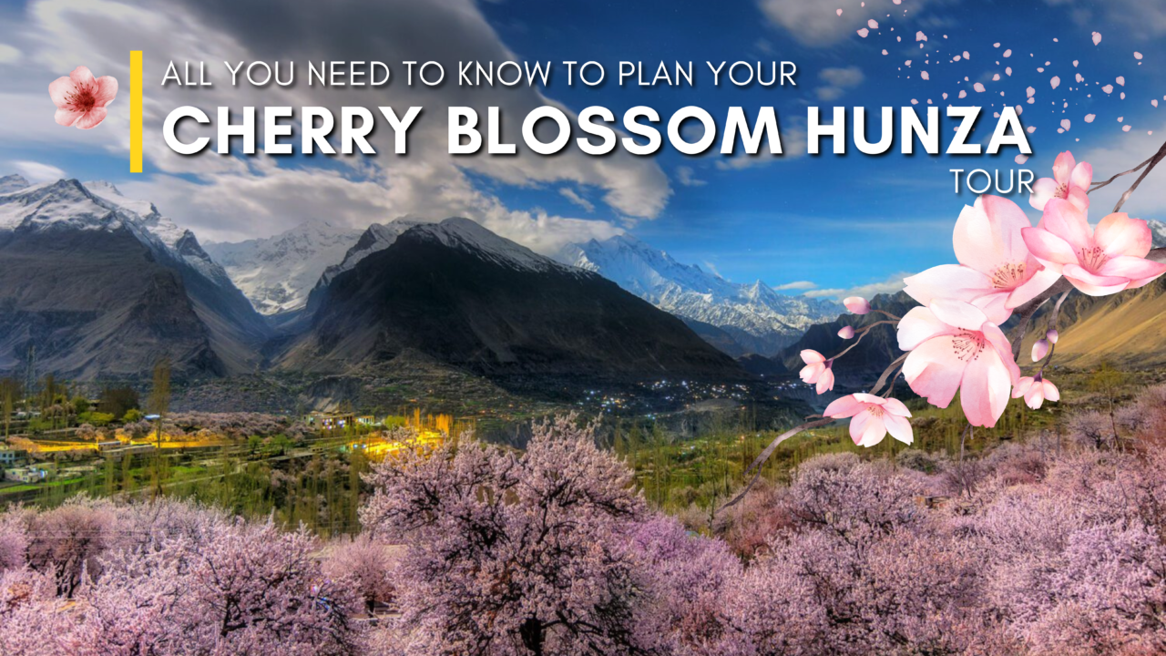 Cherry Blossom Hunza Tour 2025 – A Complete Travel Guide