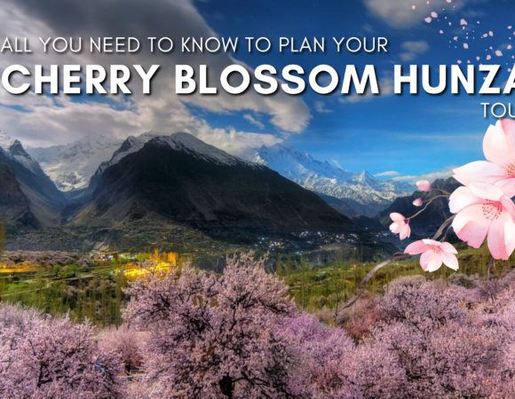 Cherry Blossom Hunza Tour 2025 – A Complete Travel Guide
