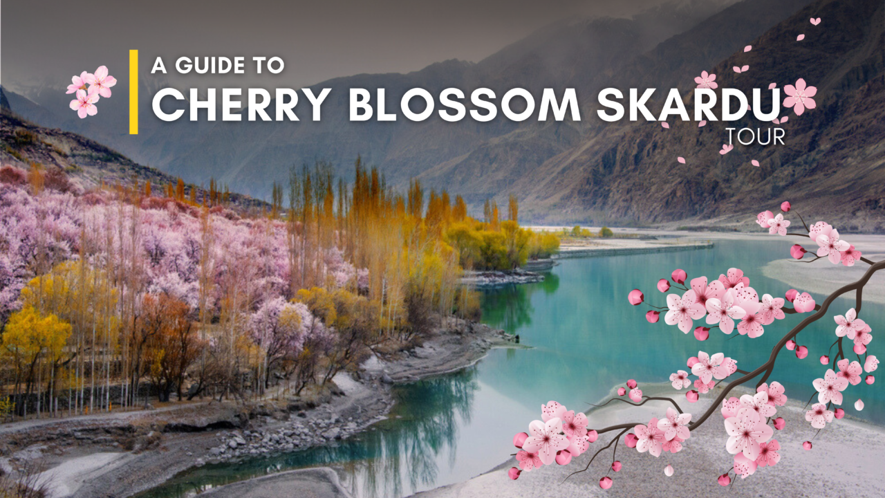 Skardu Cherry Blossom Tour 2025 – A Complete Travel Guide