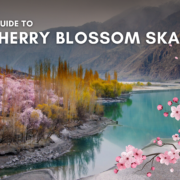 Skardu Cherry Blossom Tour