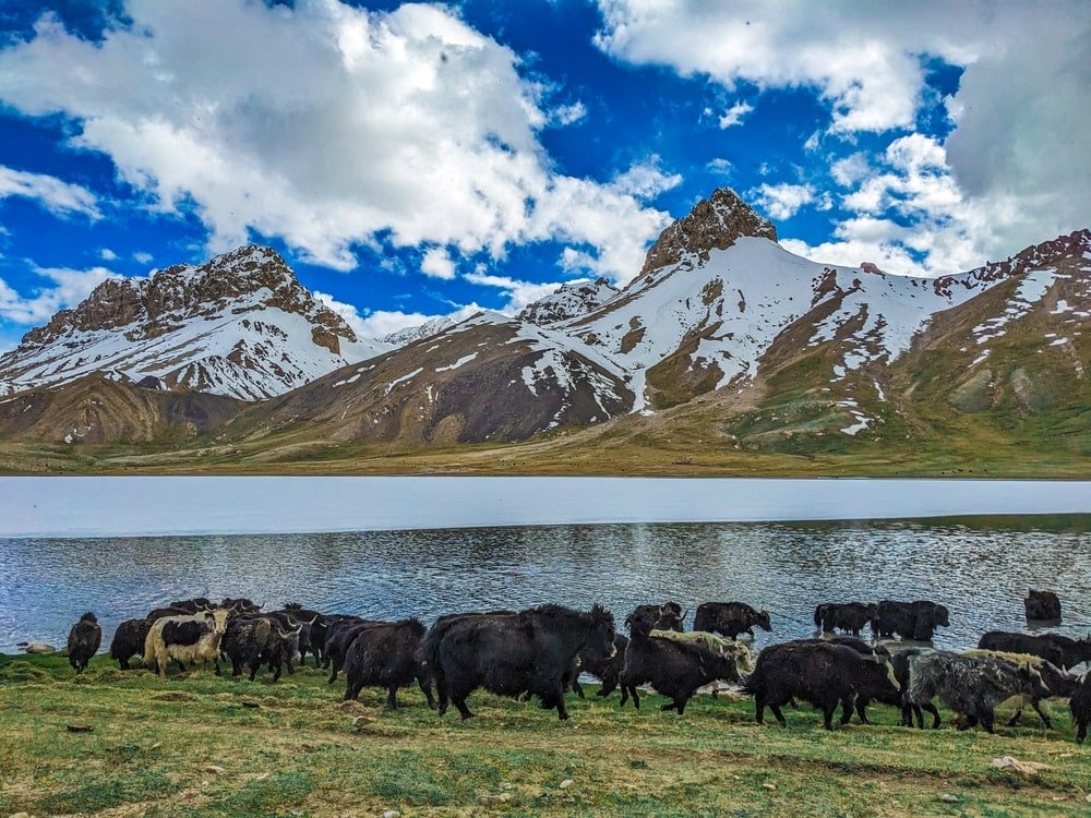 Shimshal Valley Hunza
