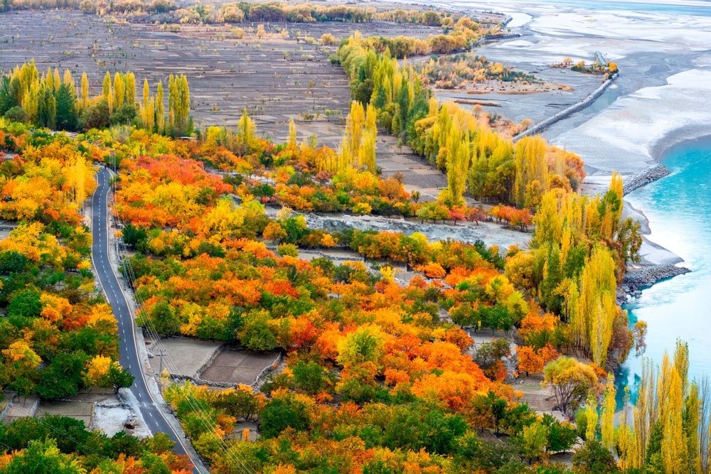 Autumn