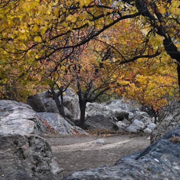 Hunza Valley Autumn Tour